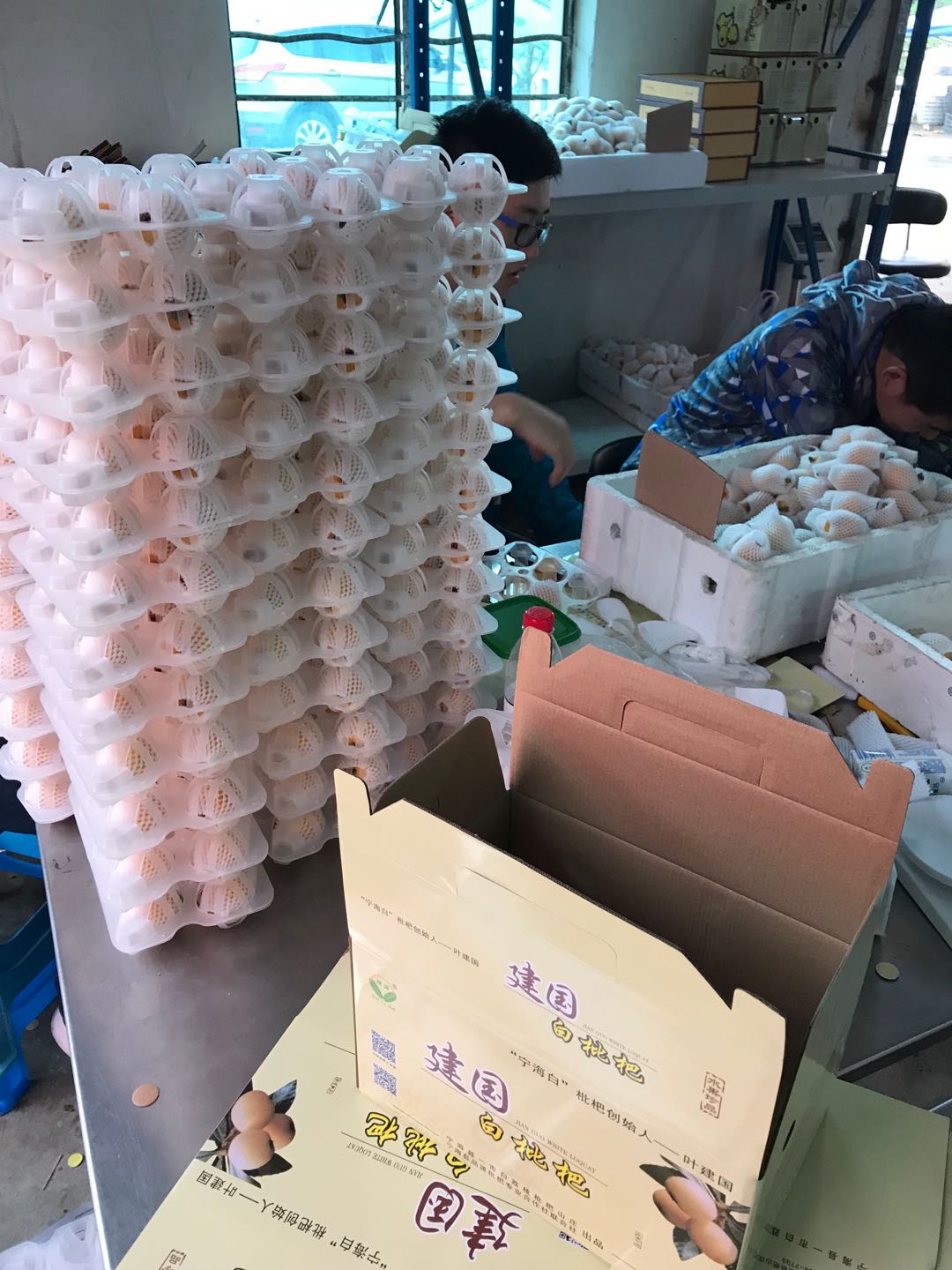 宁海白枇杷 一市建国的时令珍品，当季新鲜直供