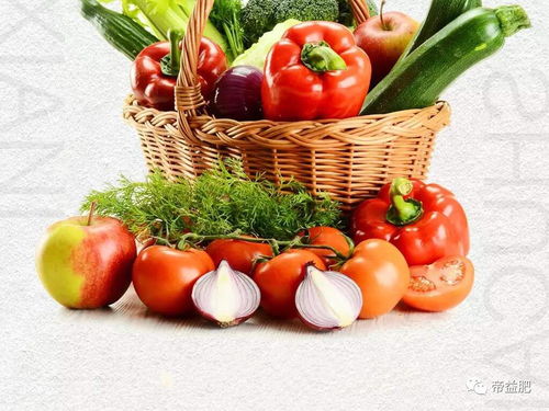 市场动态 1月6日农产品批发价格指数微幅上扬，食用农产品市场活跃